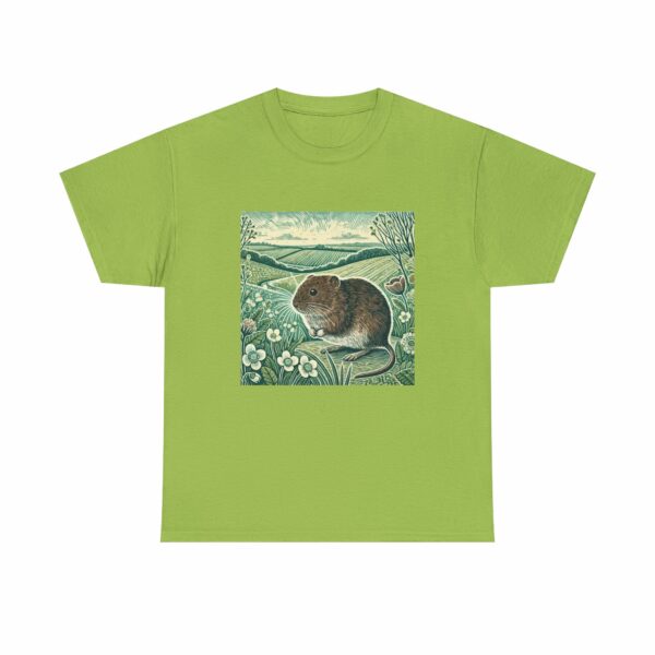 FIeld Vole Kiwi